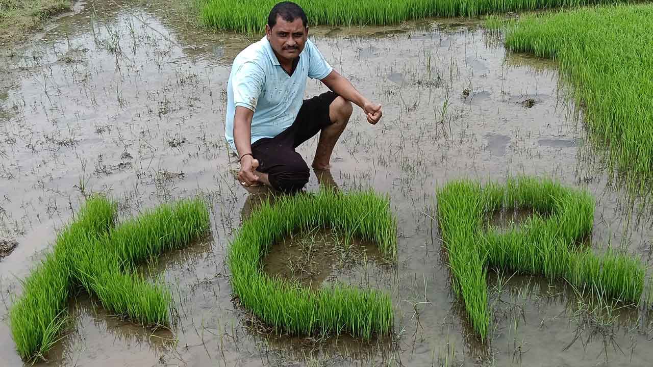 KCR | గుండెలనిండా అభిమానం.. వరి పొలంలో కేసీఆర్ పేరు