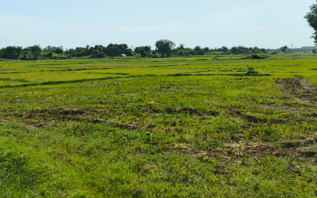 Khammam Rural : వరి నాట్లు వేసుకునేదెట్లా..?