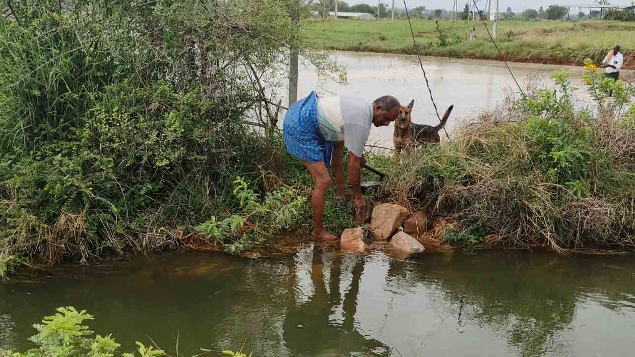 Koilsagar | కోయిల్‌సాగర్‌ కాల్వకు గండి.. నీట మునిగిన పంట పొలాలు