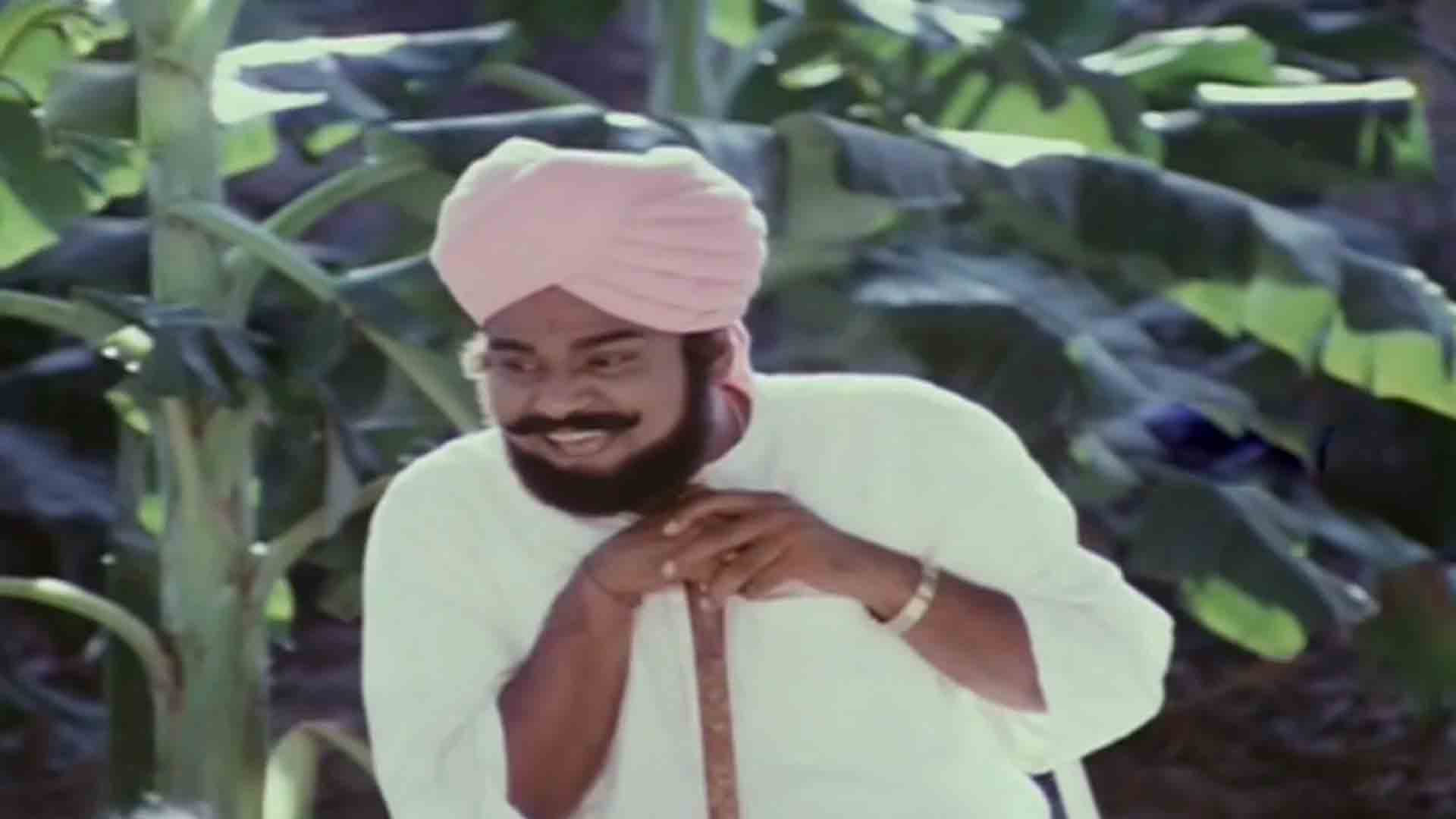 Kota Srinivasa Rao | తెలంగాణ యాసపై మక్కువ.. కోట శ్రీనివాసరావుకు గుర్తింపు తెచ్చిన డైలాగ్‌లు..