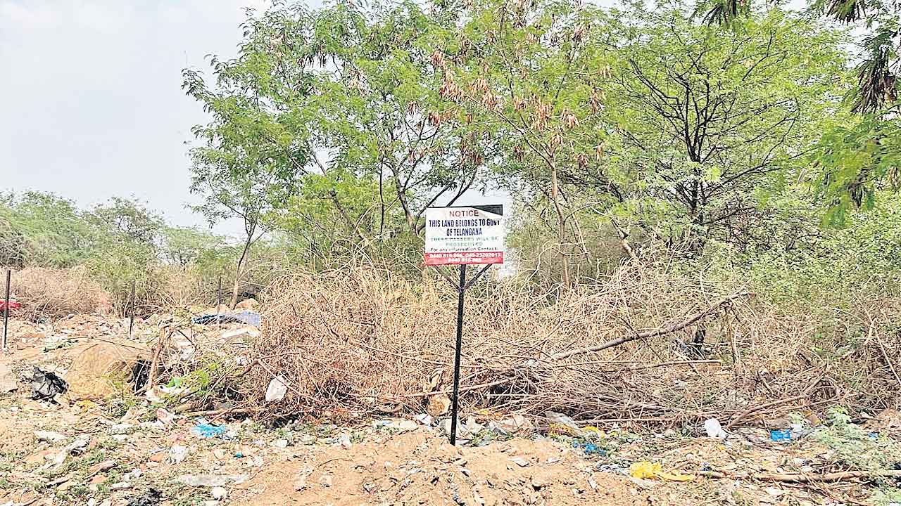 Land Grab 1
