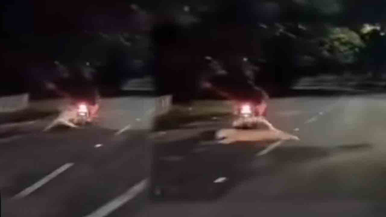 Leapord Attack | ఎస్వీ జూపార్క్లో బైక్పై దాడికి యత్నించిన చిరుత.. తృటిలో తప్పించుకున్న యువకులు.. వీడియో