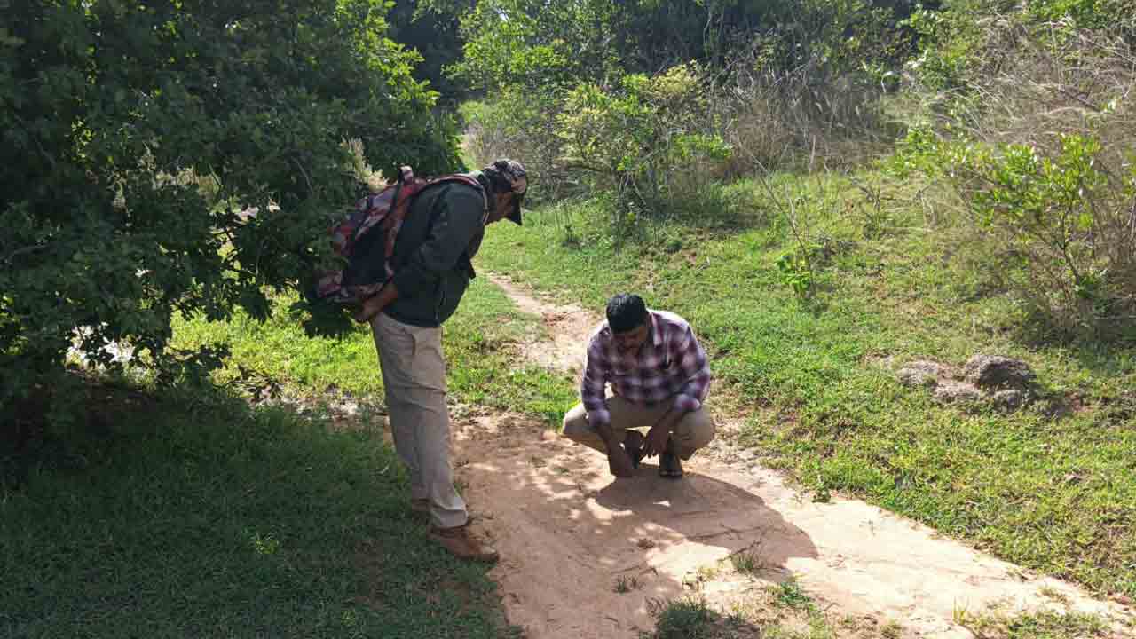 leopard | రైతులు, ప్రజలు అప్రమత్తంగా ఉండాలి.. చిరుత సంచారంపై ఫారెస్ట్‌ అధికారులు