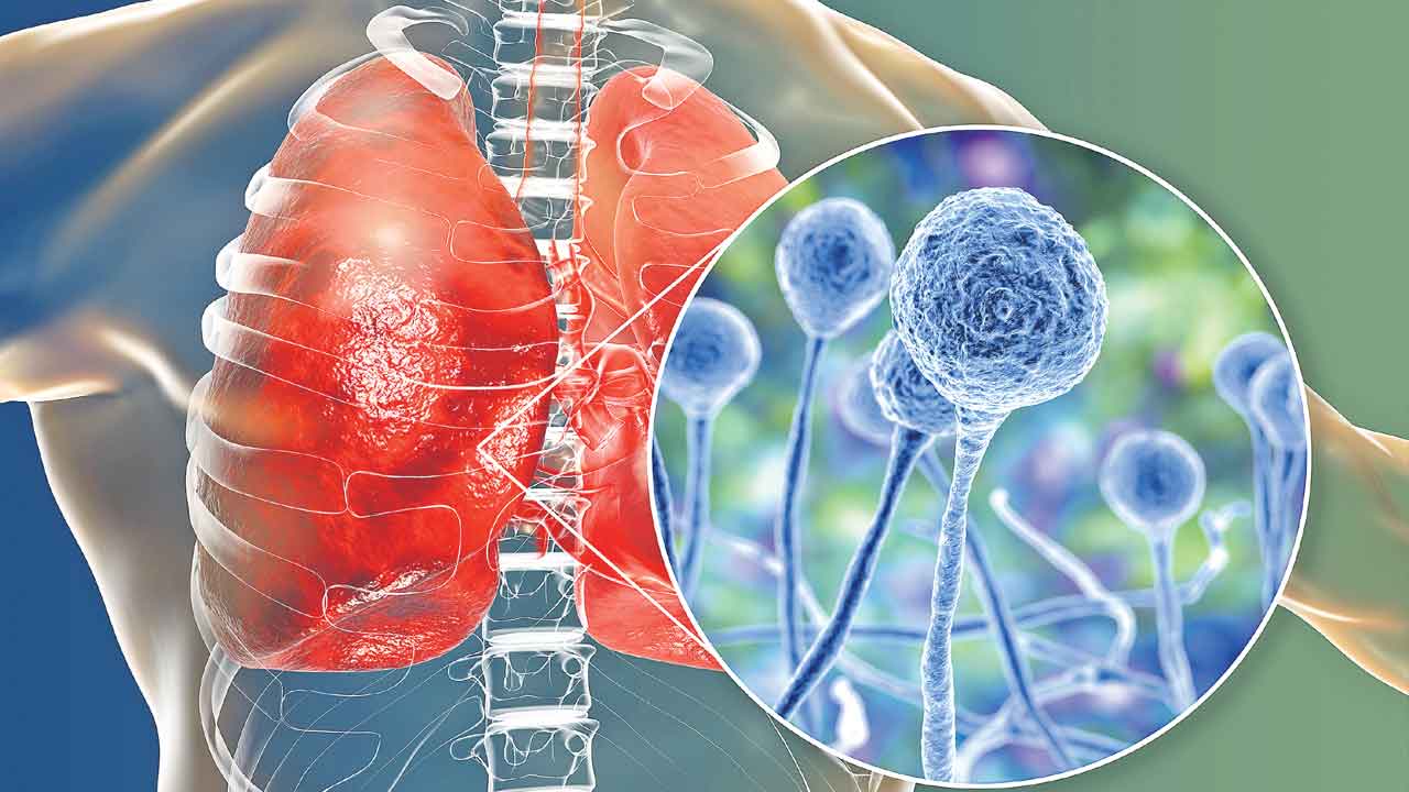 అడుగడుగున ముప్పు