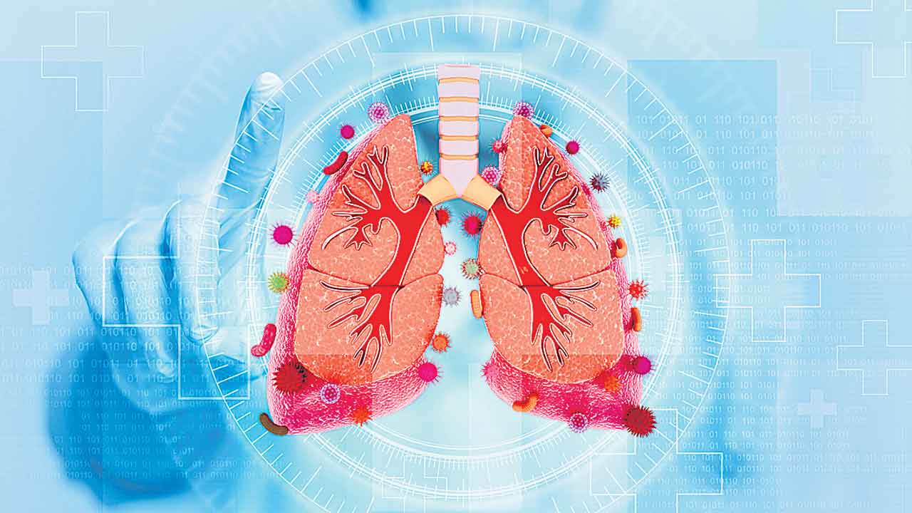 Lungs1