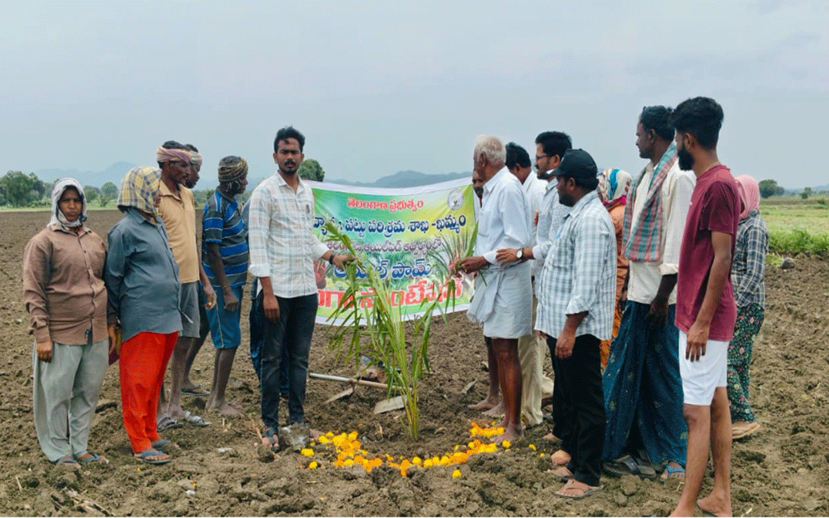 Madhira : ఆయిల్‌పామ్ సాగు రైతులకు లాభదాయకం : ఏ.విష్ణు