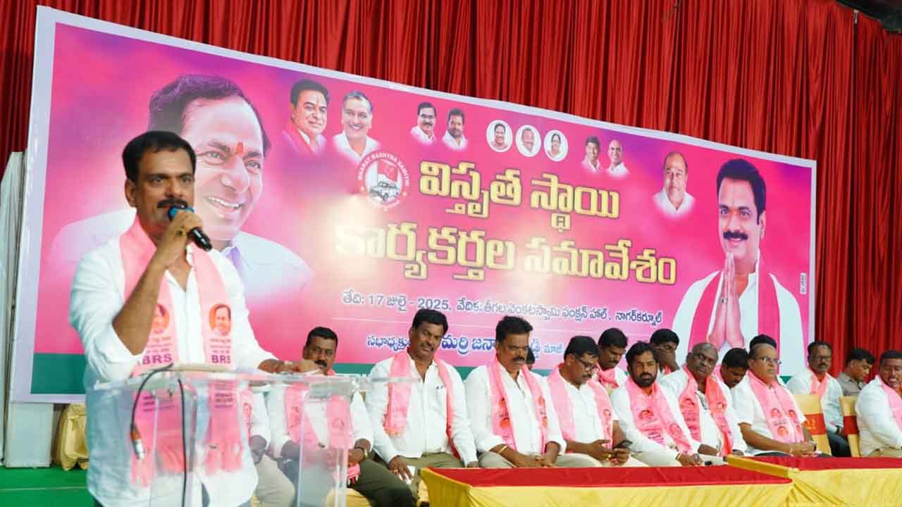 స్థానిక ఎన్నికల్లో గులాబీ జెండా ఎగరాలే