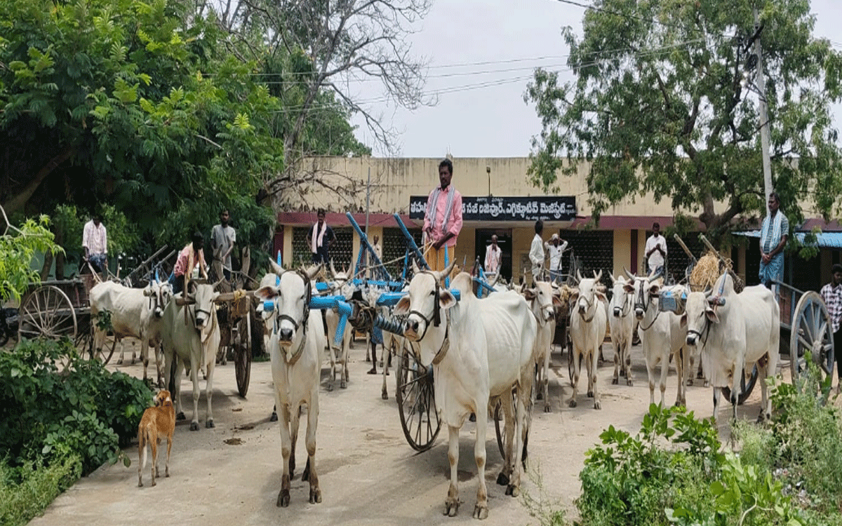 Motkur : బిక్కేరు వాగు నుంచి ఇసుక తరలించొద్ద‌ని ఎడ్ల బండ్ల‌తో నిర‌స‌న‌