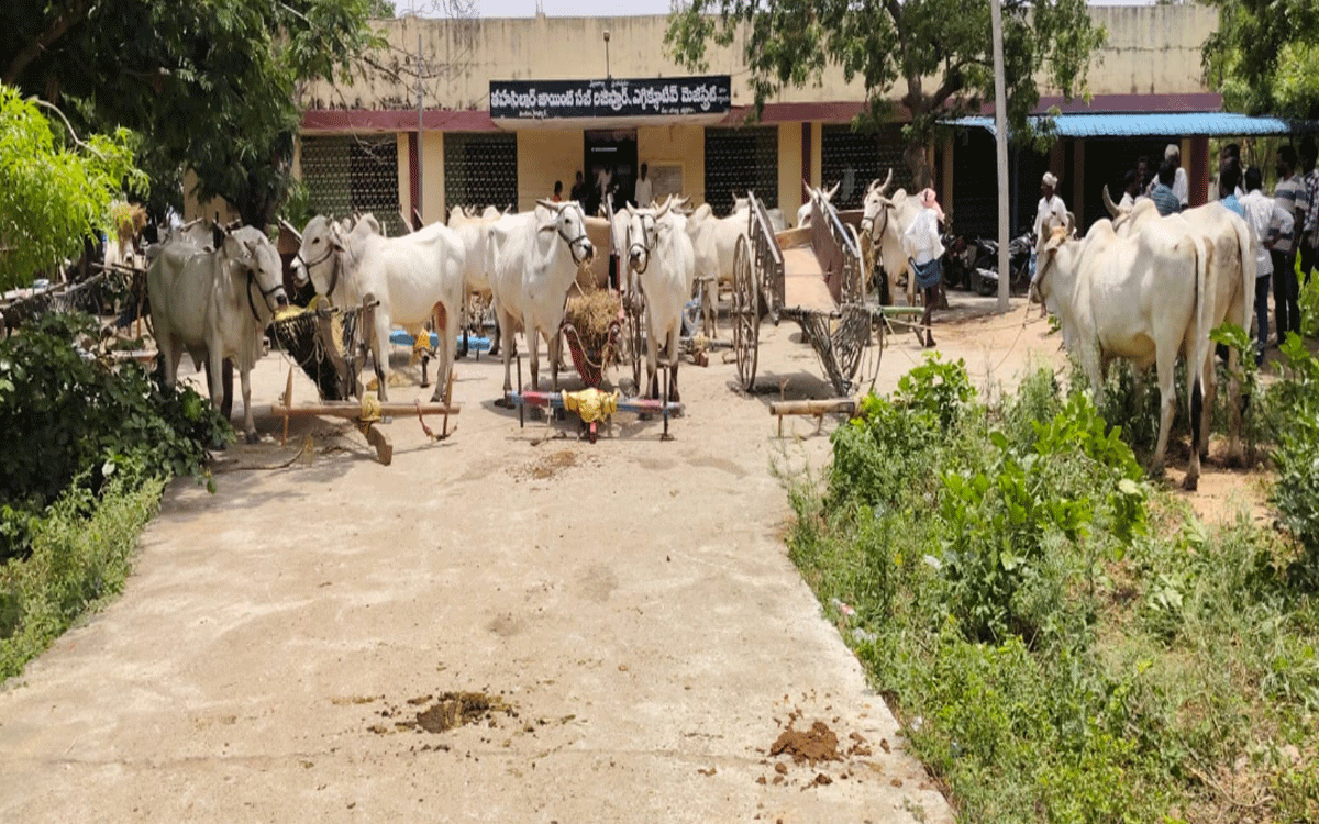 Motkur : బిక్కేరు వాగు నుంచి ఇసుక తరలించొద్ద‌ని ఎడ్ల బండ్ల‌తో నిర‌స‌న‌