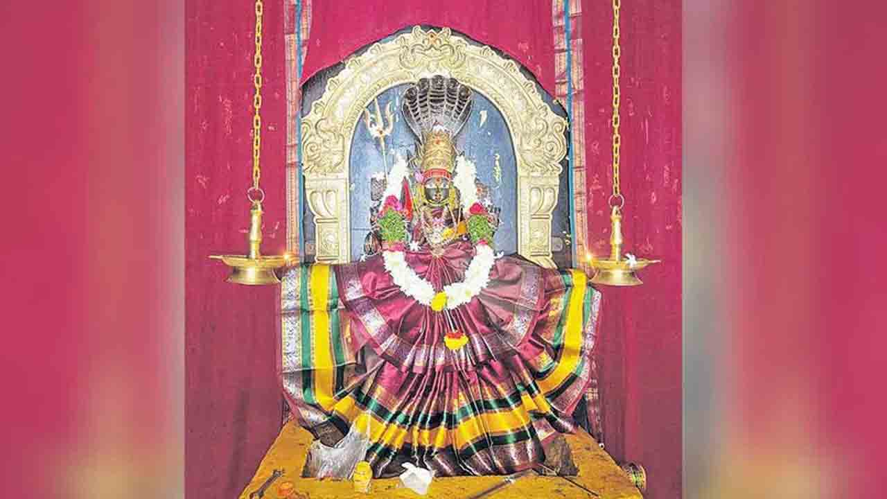 Hathnoora | ఆదాయం ఉన్న సౌకర్యాలు సున్నా.. పలుగు పోచమ్మ ఆలయం వద్ద భక్తుల ఇక్కట్లు
