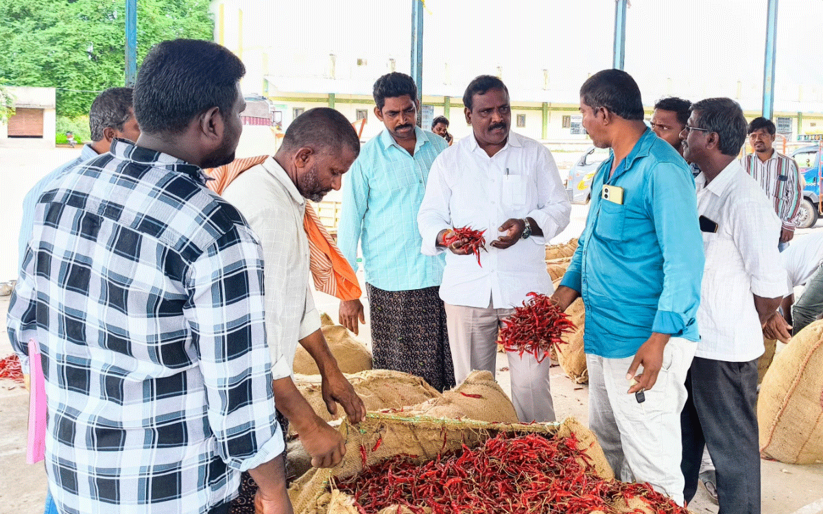 Madhira : మధిర మార్కెట్ యార్డ్‌లో మిర్చి కొనుగోలు పరిశీల‌న‌