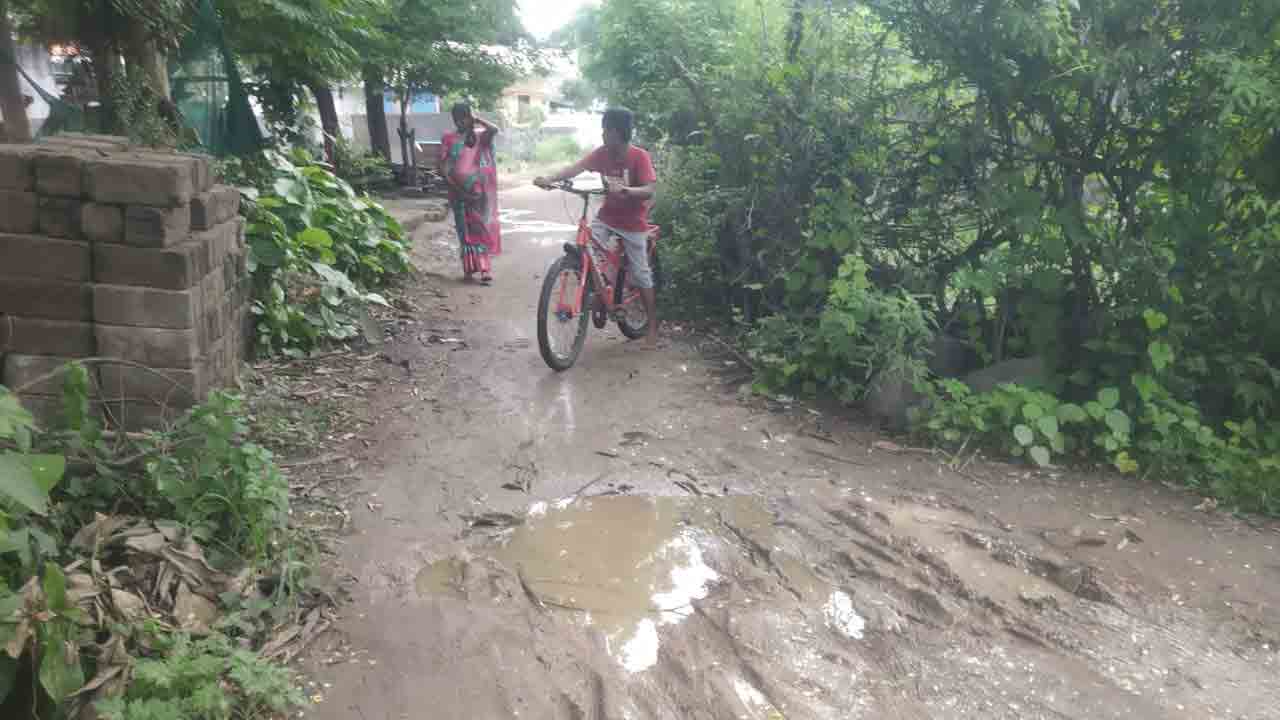Peddapalli | పడకేసిన పారిశుద్ద్యం.. పట్టించుకోని అధికారులు..