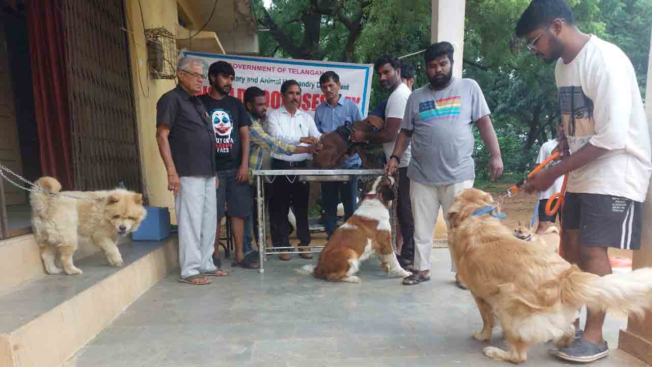 pets | పెంపుడు జంతువులకు ఉచితంగా రేబీస్ టీకాలు : పశువైద్యాధికారి వెంకటయ్య
