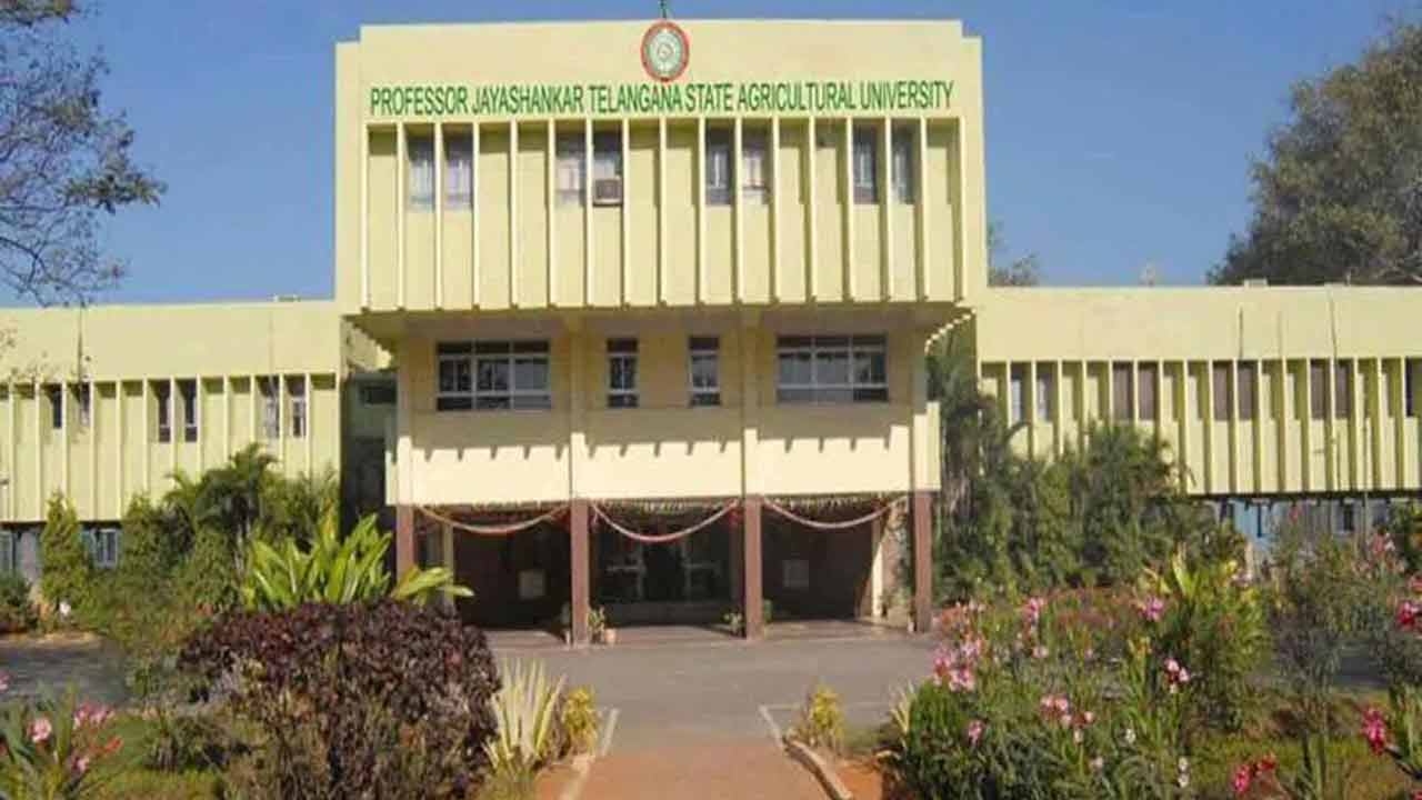 PJTAU | ఆగ‌స్టు 2న అగ్రిక‌ల్చ‌ర‌ల్ యూనివ‌ర్సిటీ స్నాత‌కోత్స‌వం