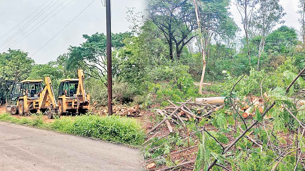 మొక్కలు నాటేందుకు చెట్లు కొట్టేశారు!.. ఇదీ రాష్ట్ర ప్రభుత్వ పెద్దలు, అధికారుల వింత ధోరణి