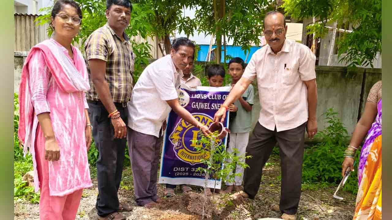 Planting3