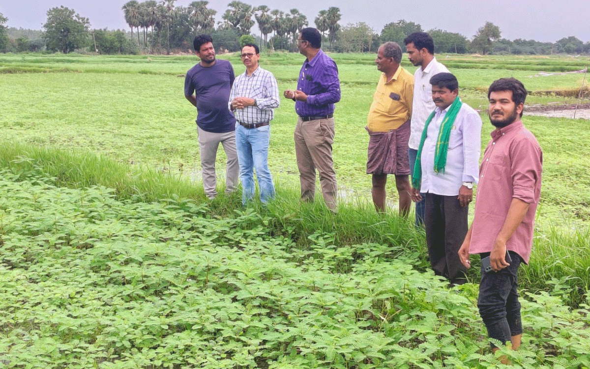 Madhira : విత్తనాలు, ఎరువులు అందుబాటులో ఉంచాలి : డీఏఓ పుల్ల‌య్య‌