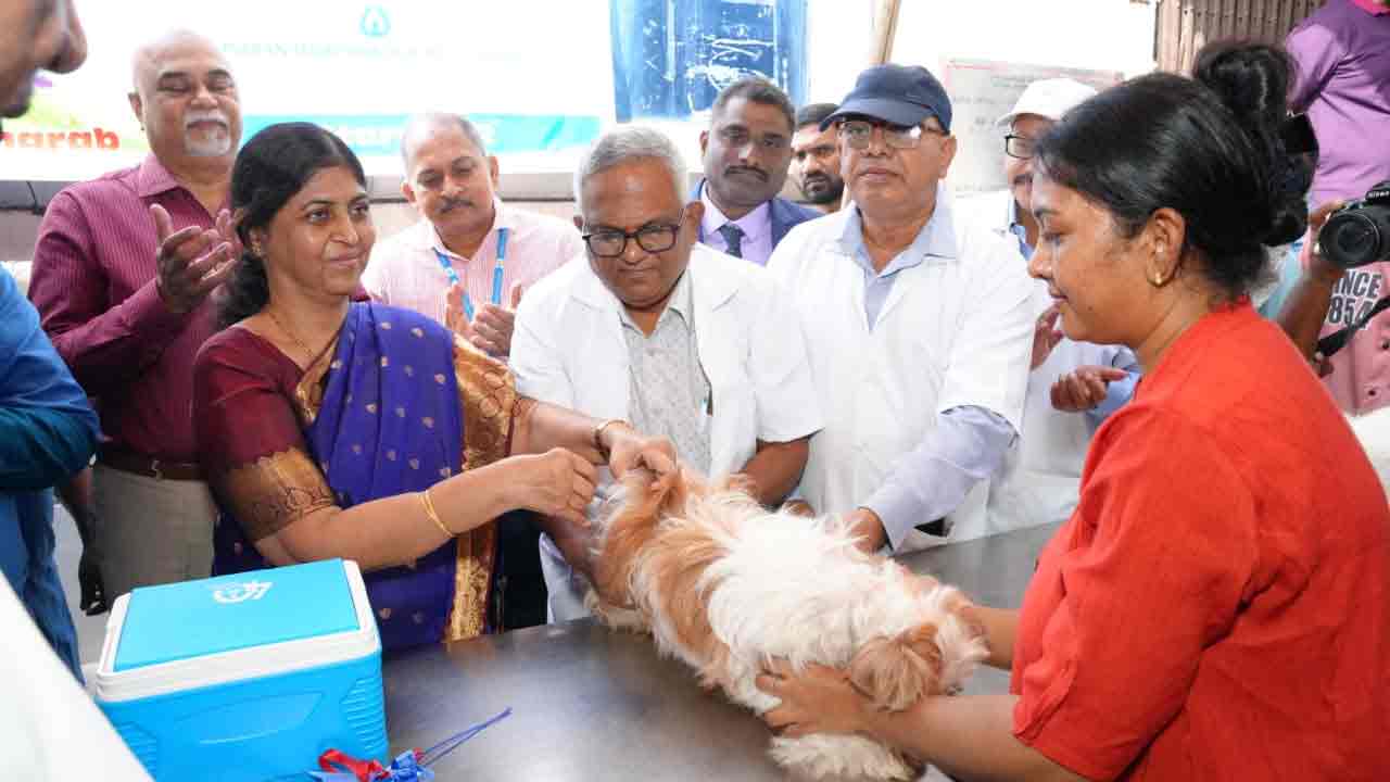 Rabies vaccine | పెంపుడు జంతువులకు రేబిస్ టీకాలు వేయించాలి