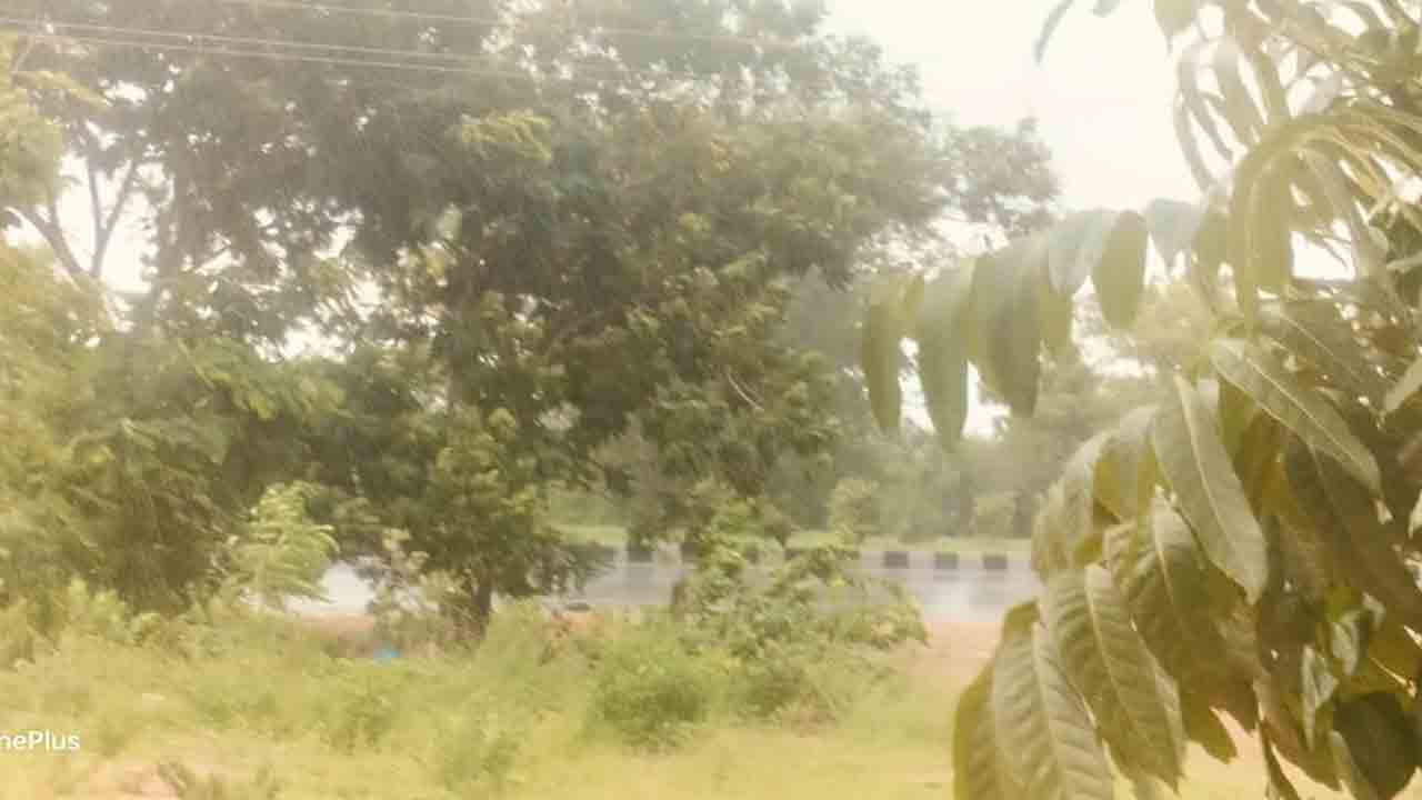 Rain41