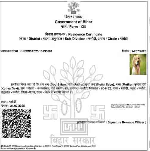Residence Certificate For D