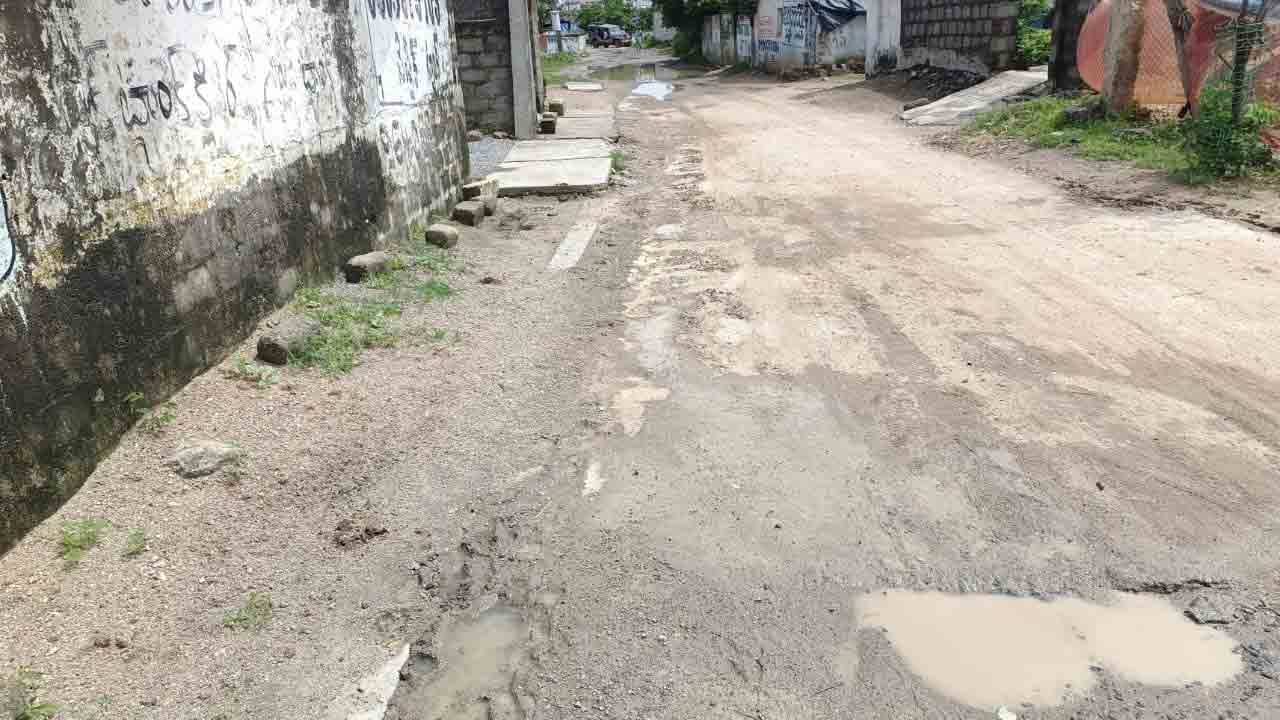 Roaddamage 1