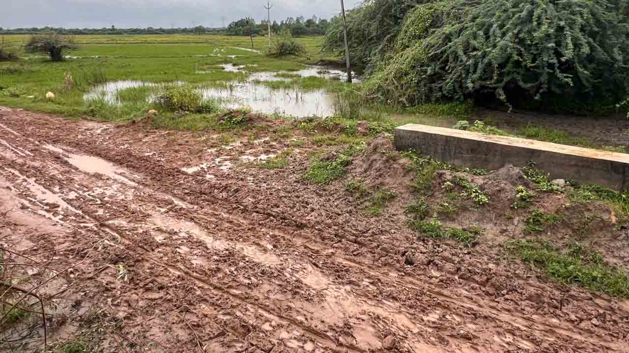 Roadthandur