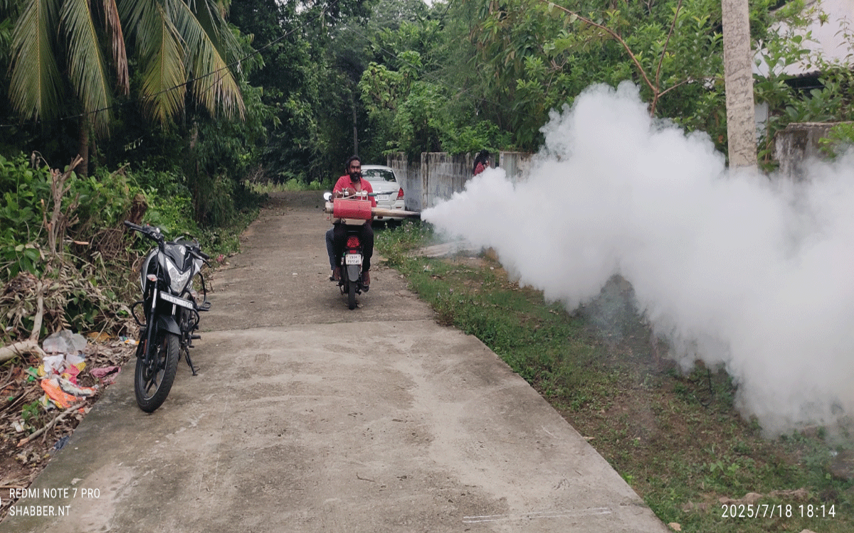 Ramavaram : రుద్రంపూర్‌లో దోమల నివారణకు ఫాగింగ్