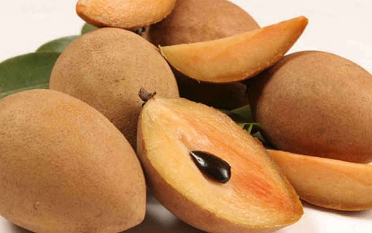 Sapota | స‌పోటా పండ్ల‌ను రోజూ తింటే ఎన్ని అద్భుత‌మైన లాభాలు క‌లుగుతాయో తెలుసా..?