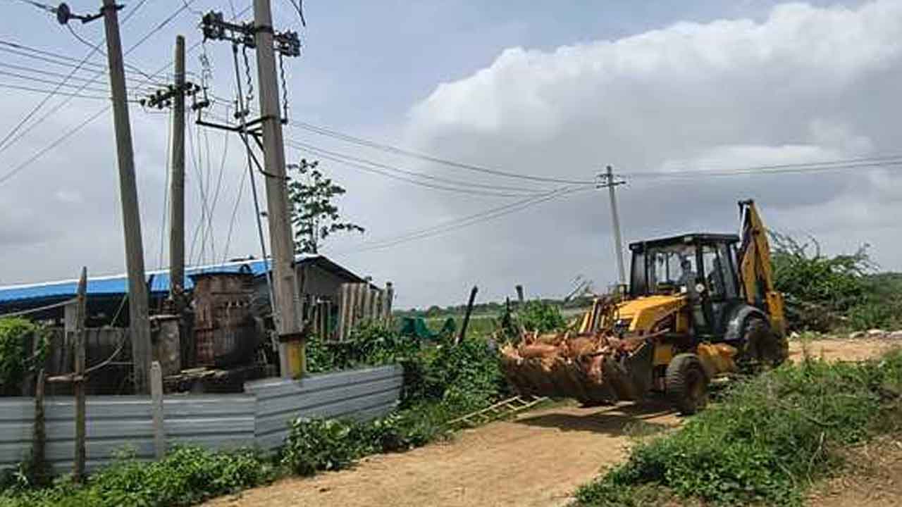 Nekkonda | గొర్రెల షెడ్డుపై తెగిపడిన 11 కేవీ విద్యుత్ తీగ.. 18 గొర్రెలు మృతి