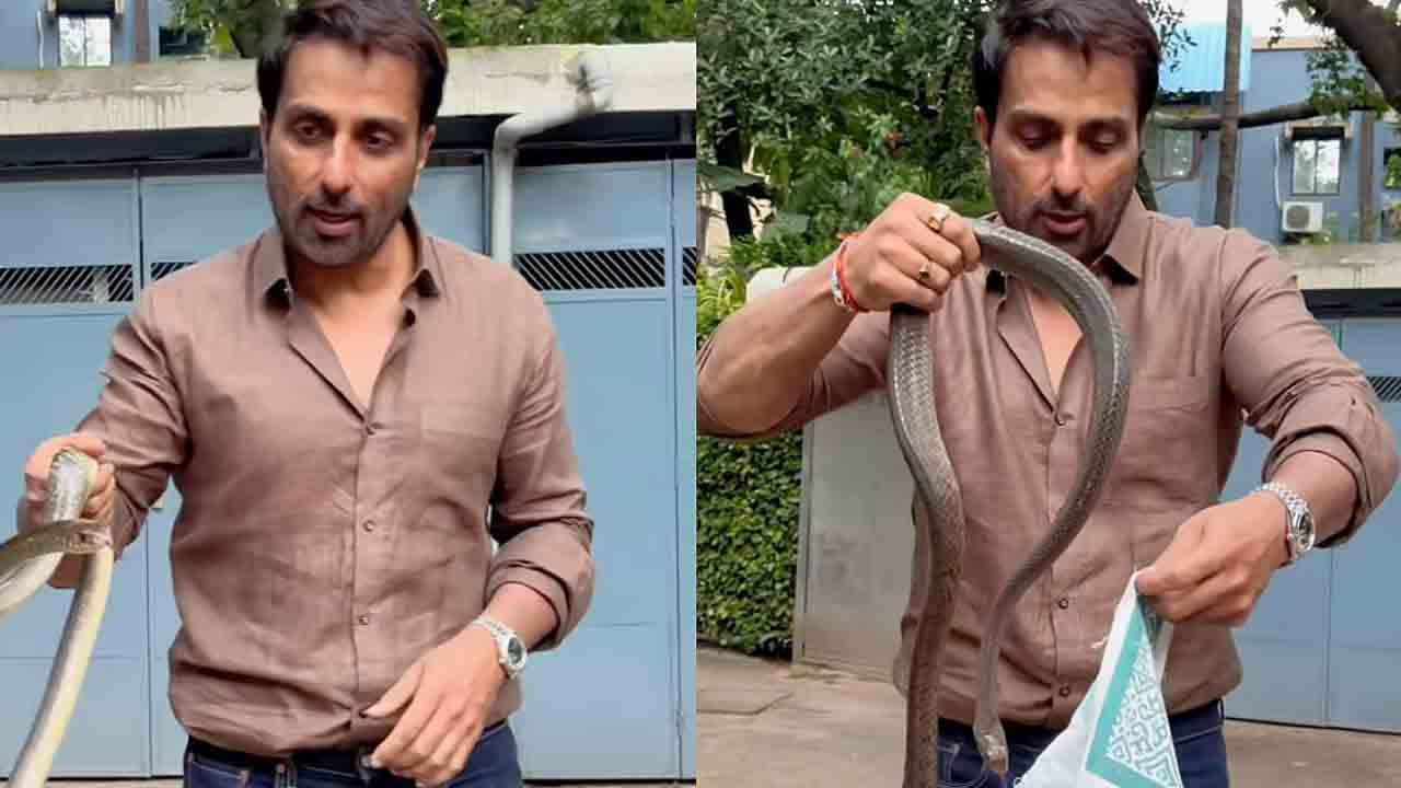 Sonu Sood | ఇంట్లోకి వ‌చ్చిన పామును ప‌ట్టుకున్న న‌టుడు సోనూసూద్.. వీడియో వైరల్