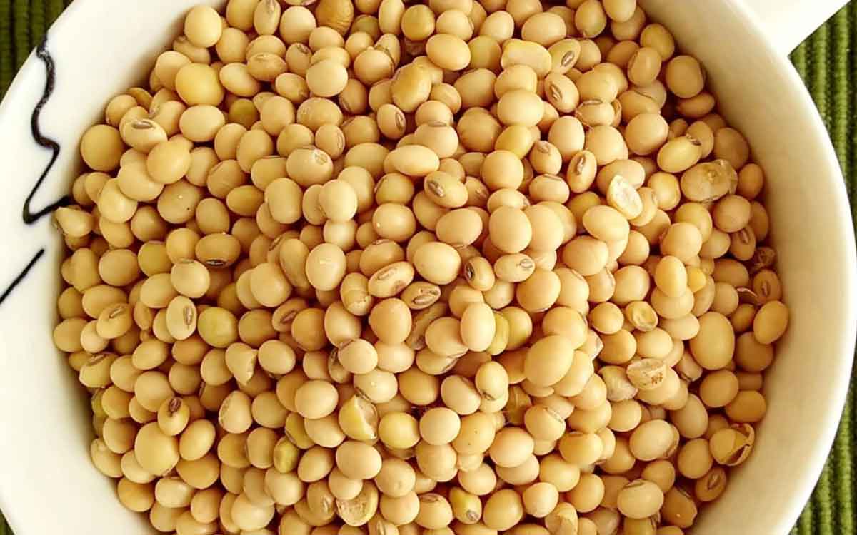 Soyabean | రోజూ ఒక క‌ప్పు సోయాబీన్‌ను ఉడ‌క‌బెట్టి తినండి.. ఎన్నో లాభాలు క‌లుగుతాయి..!