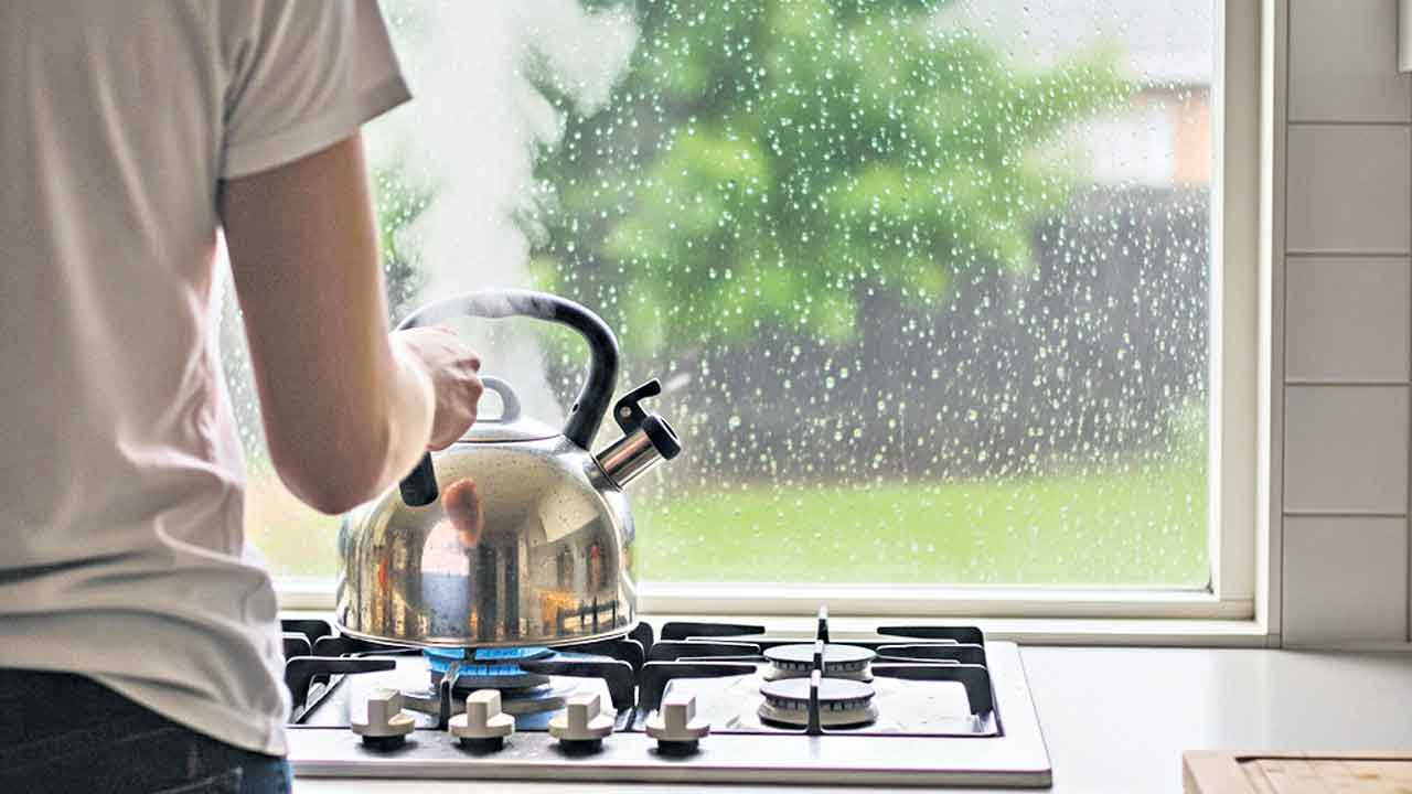 వానల్లో పొట్టకు చిక్కులు