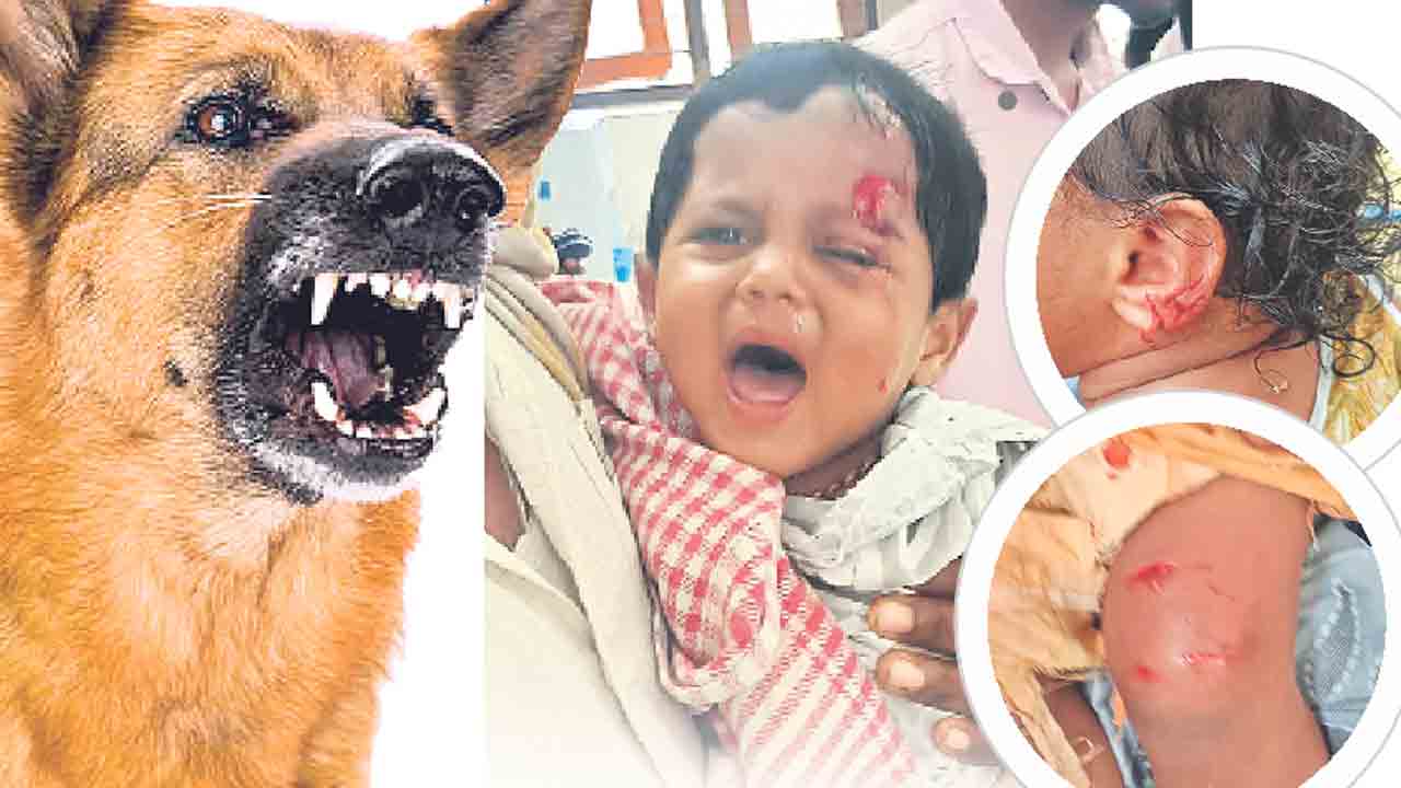 భౌ..భౌ..చిన్నారులను గాయపరుస్తున్న శునకాలు