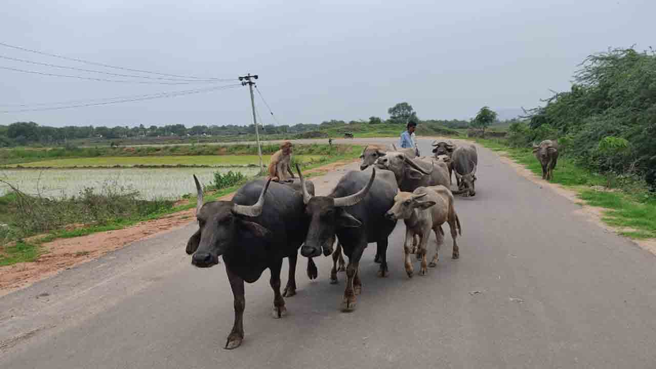 Sulthanabad 1