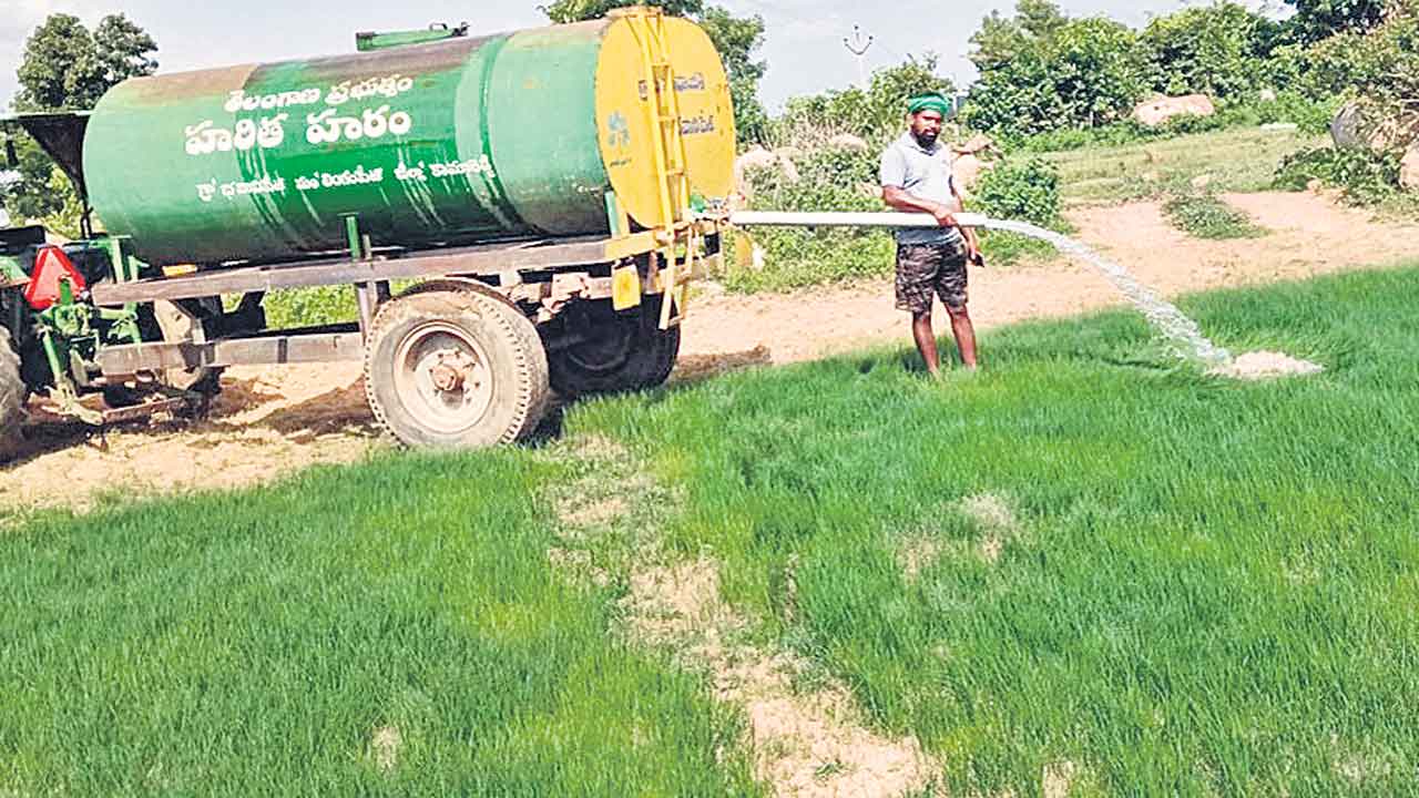 ‘నారు’ సంరక్షణకు.. నాన పాట్లు