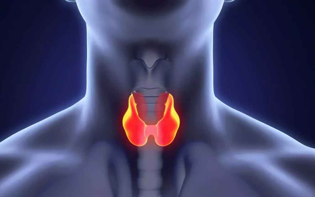 Foods For Thyroid Health | మీకు థైరాయిడ్ సమస్య ఉందా..? అయితే ఈ ఆహారాలను తినండి..!