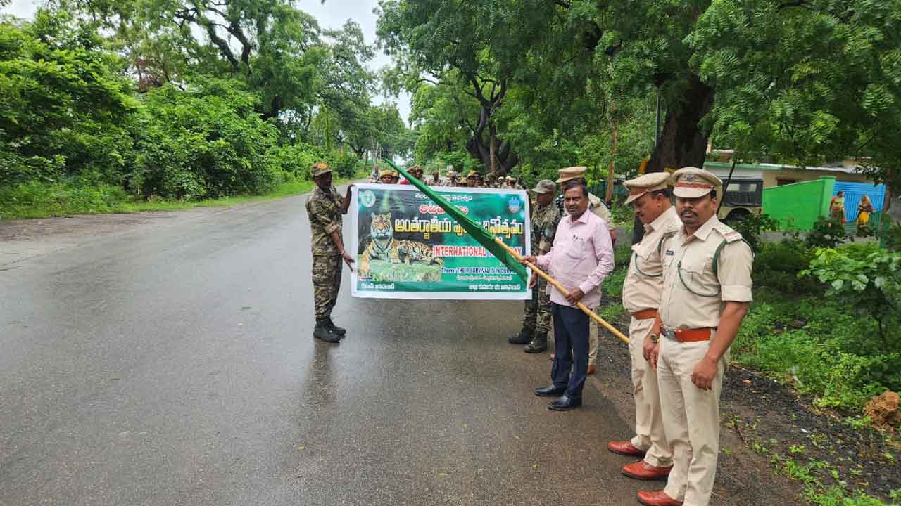 Tigers | పులుల సంరక్షణతో పర్యావరణ సమతుల్యత సాధ్యం : దేవిదాస్