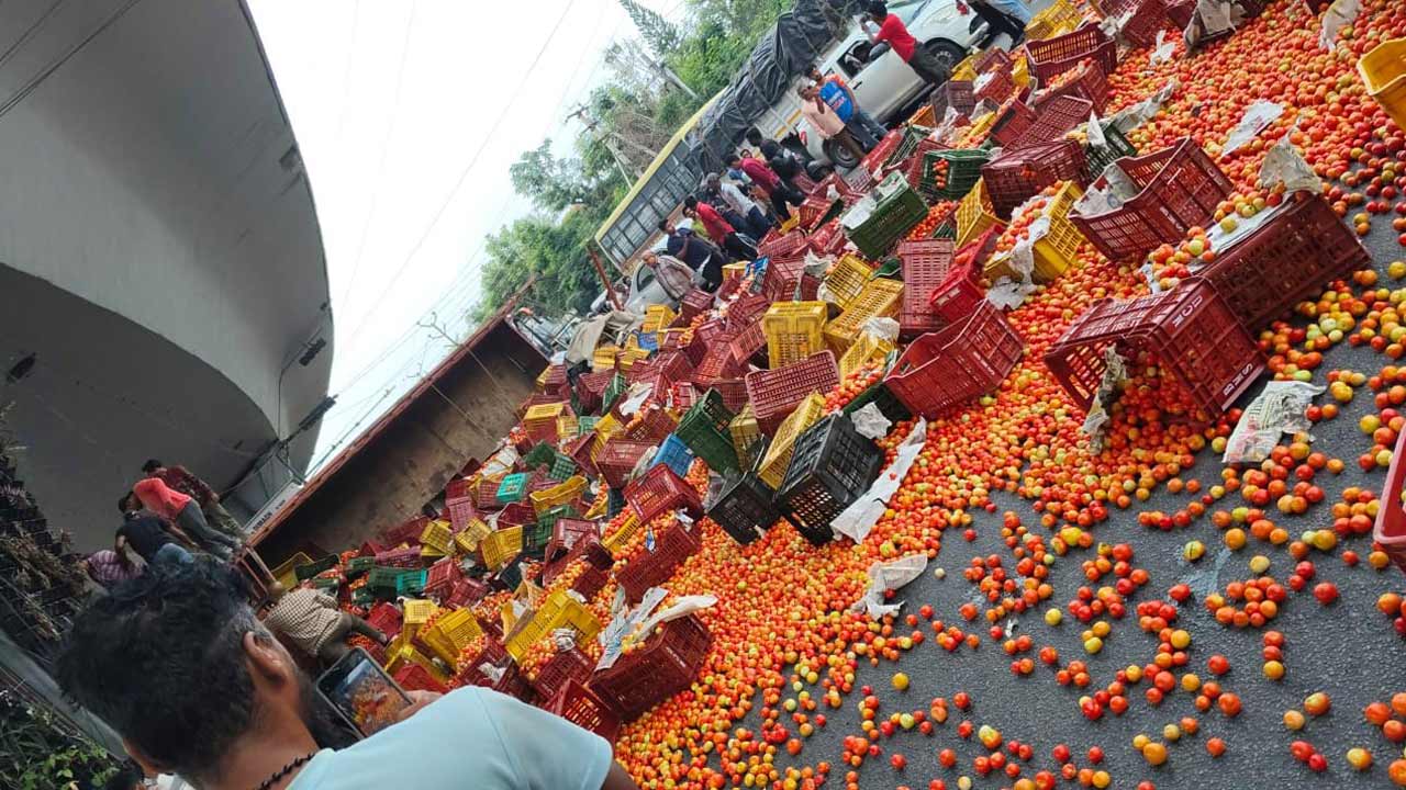 Tomato Load1