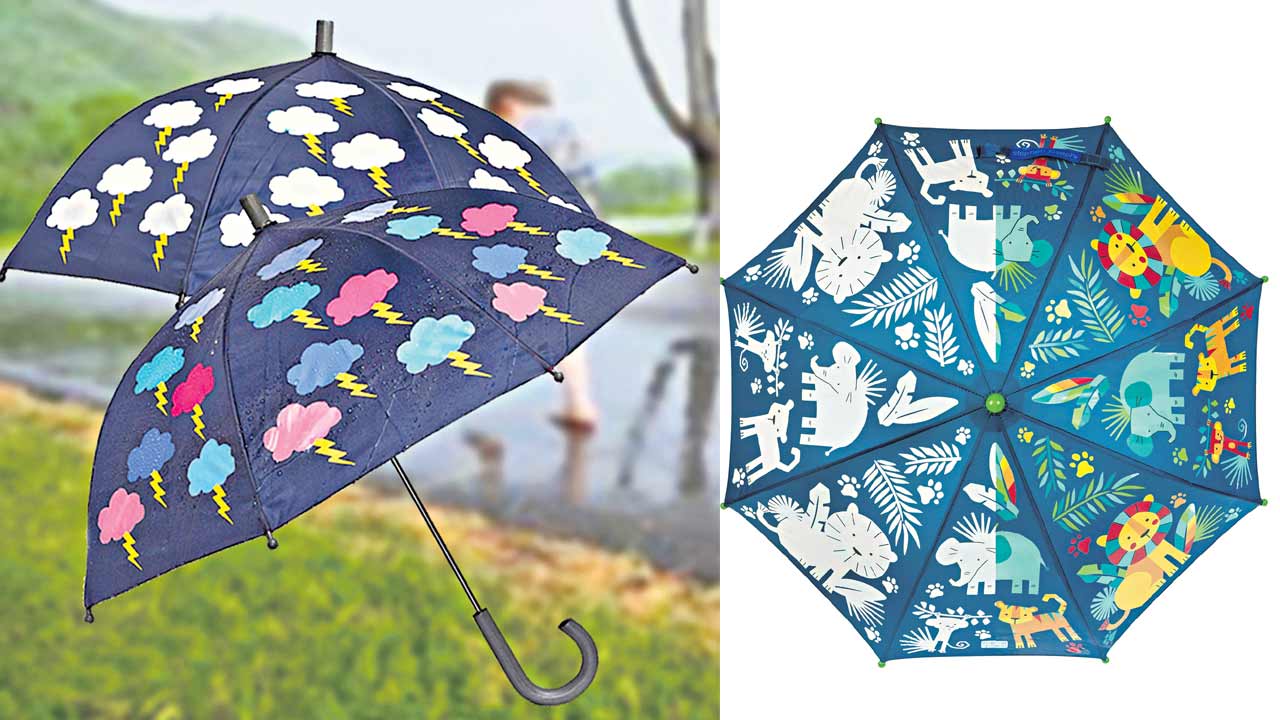 Umbrella