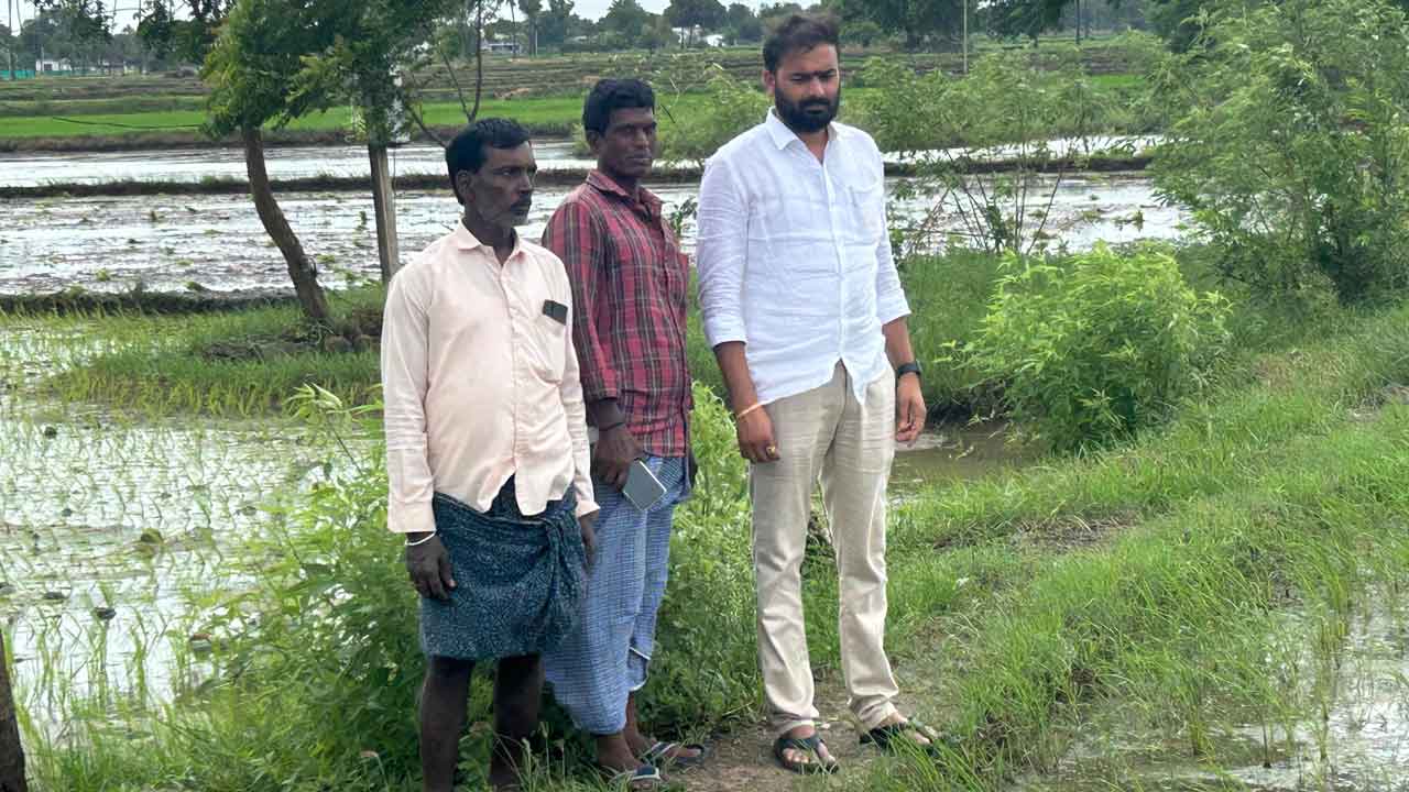 Sultanabad | వరిలో కలుపు యాజమాన్య పద్ధతులు పాటించాలి