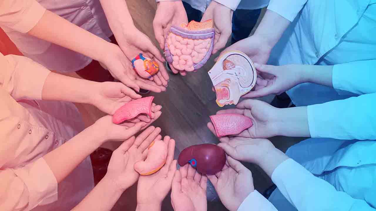 అవయవ మార్పిడిలో మహిళలకు ప్రాధాన్యం