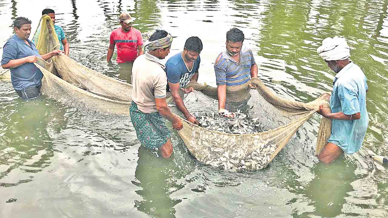 సర్కారు తప్పిదం మత్స్యకారులకు శాపం!