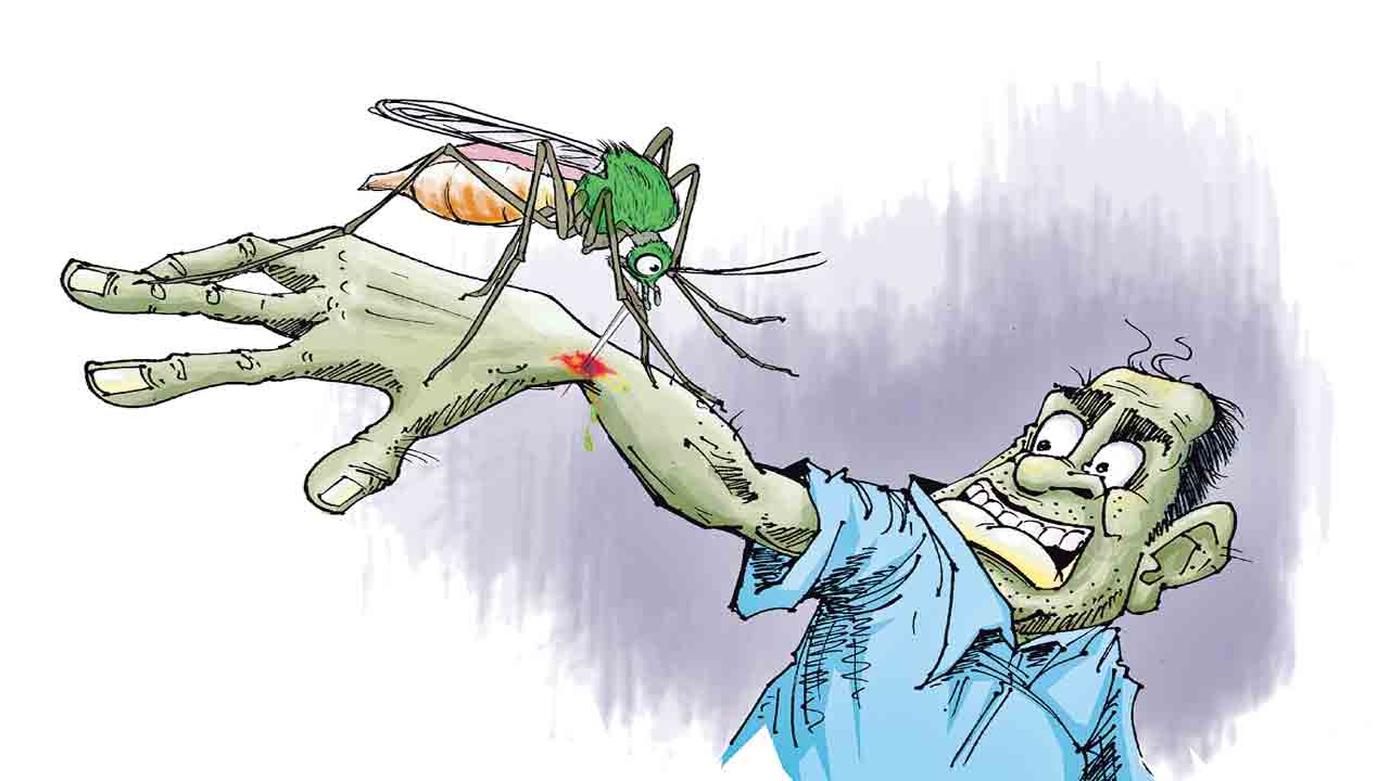 ఫీవర్రీ.. మెదక్‌ జిల్లాలో విజృంభిస్తున్న విషజ్వరాలు