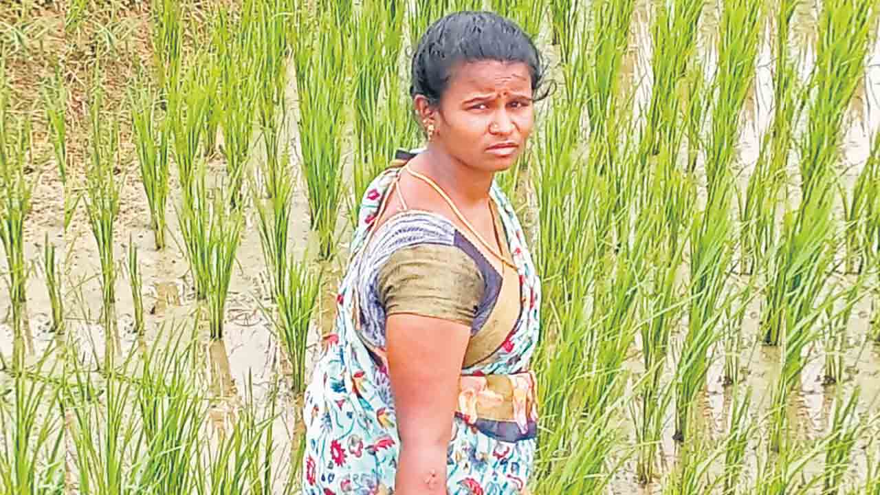 నా భూమికైనా నోసుకున్ననో లేదో..!