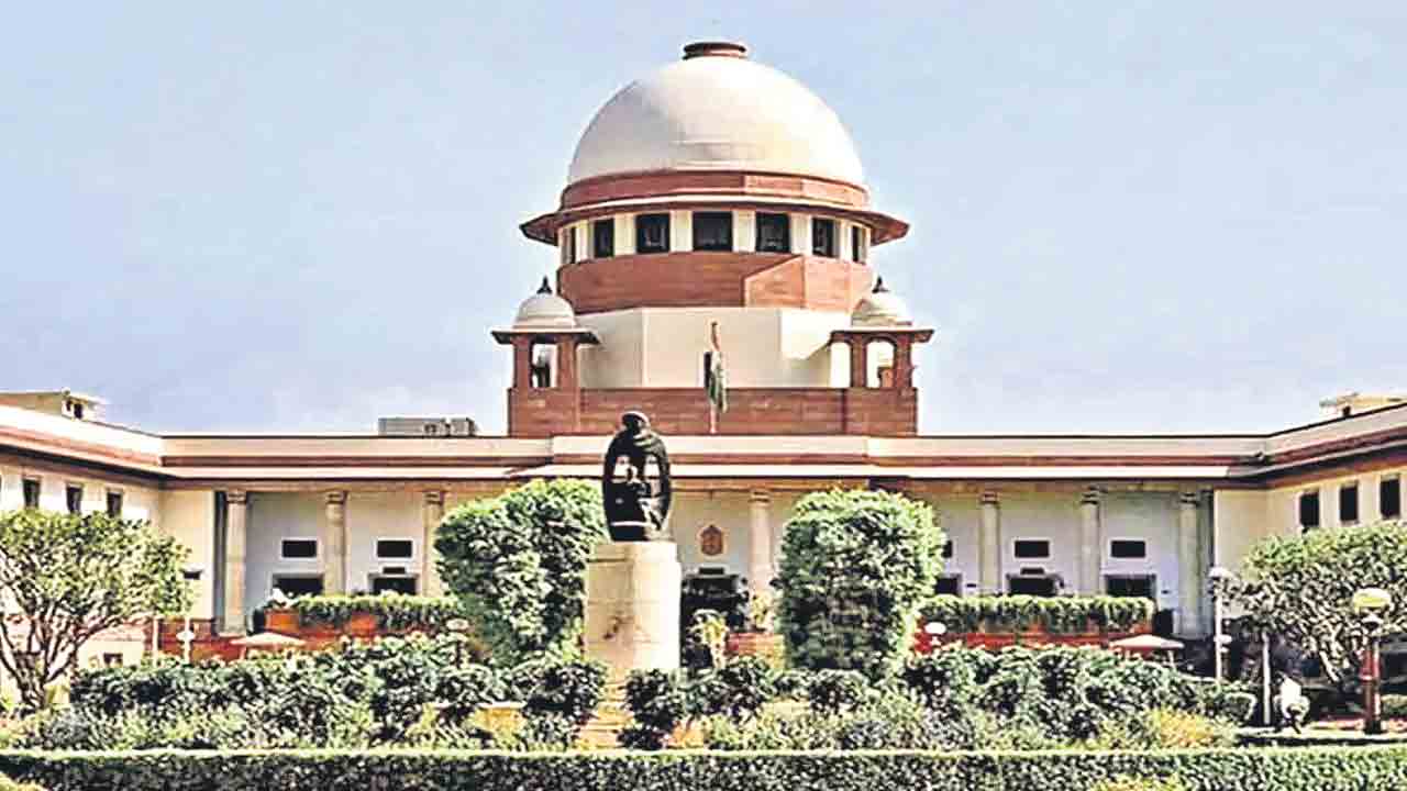 ఢిల్లీ వీధి కుక్కల కేసుపై ప్రత్యేక ధర్మాసనం