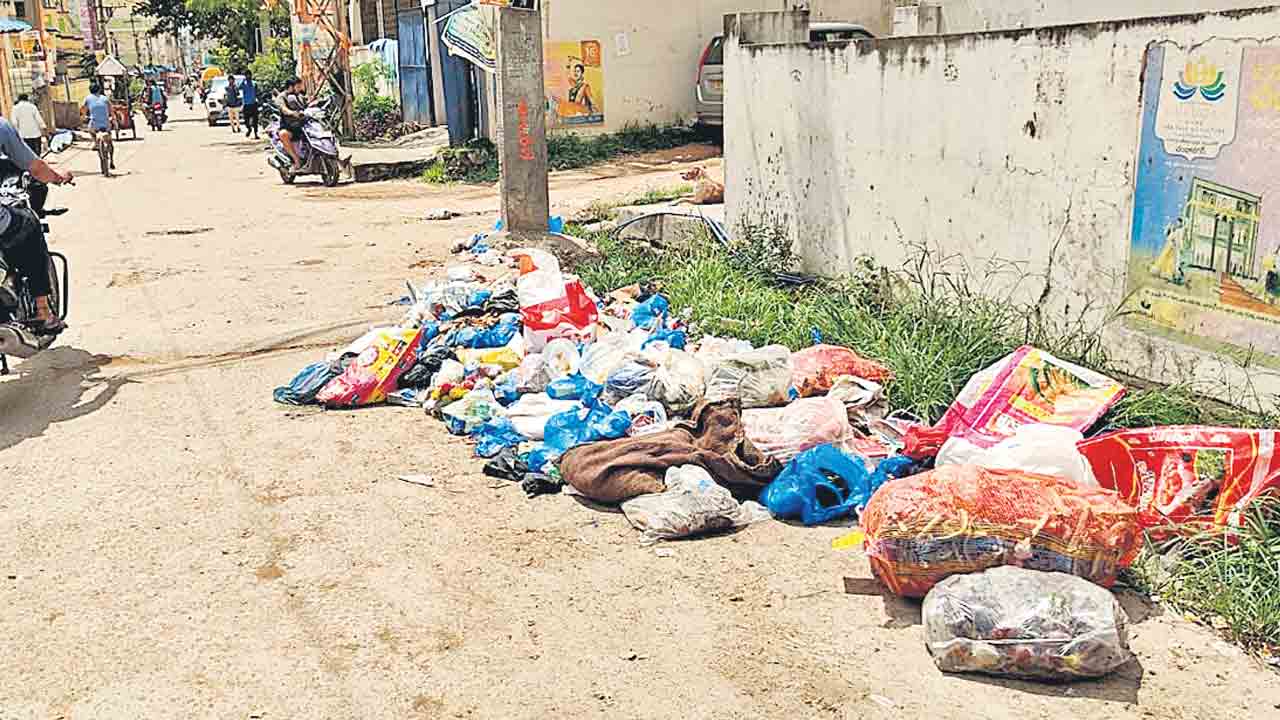 పడకేసిన పారిశుధ్యం