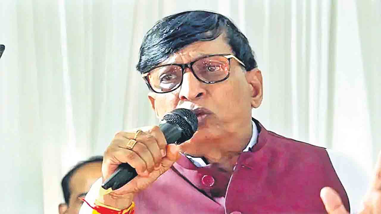 2,800 వీధి కుక్కలను చంపించా