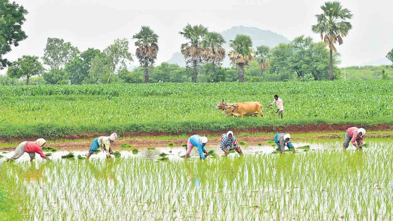 సాగు లెక్కలెప్పుడు?.. సర్వే ప్రక్రియ లేకుండానే కాకి లెక్కలు!
