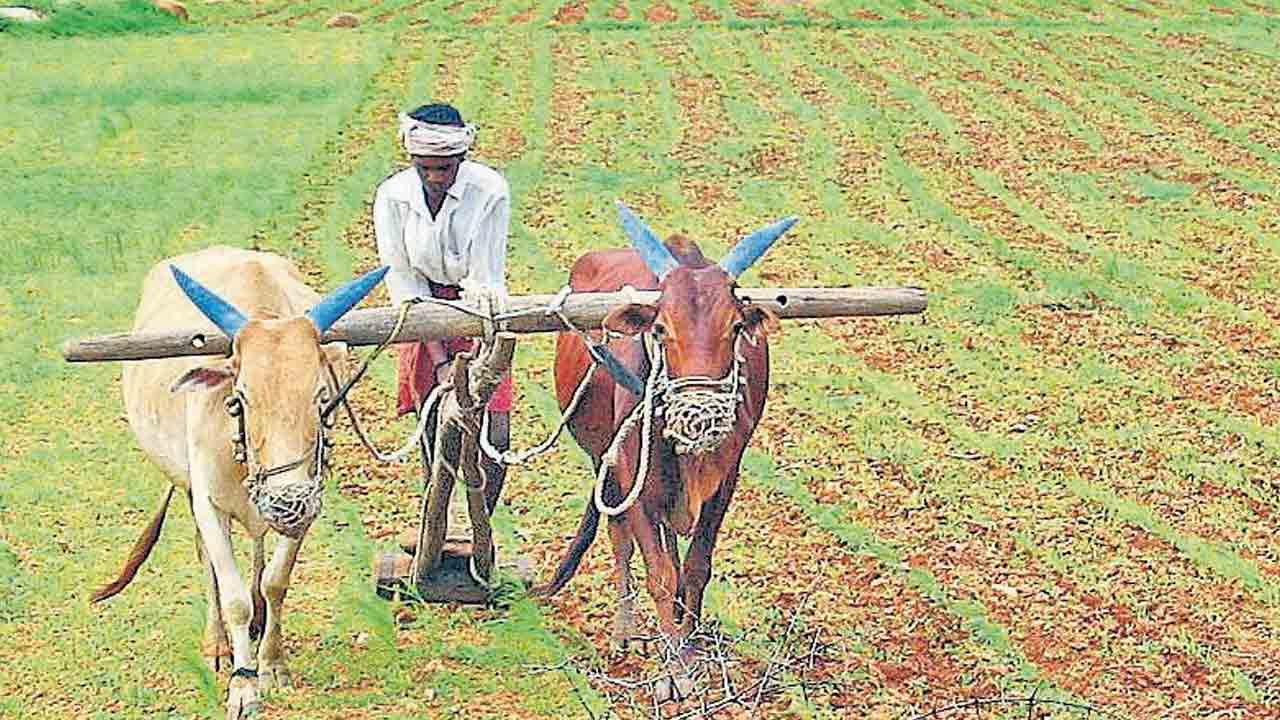 పరిహారం కోసం పడిగాపులు.. రైతుబీమా కోసం తప్పని ఎదురుచూపులు