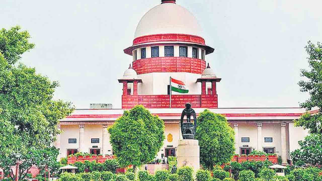 వీధి కుక్కలు కనిపించకూడదు